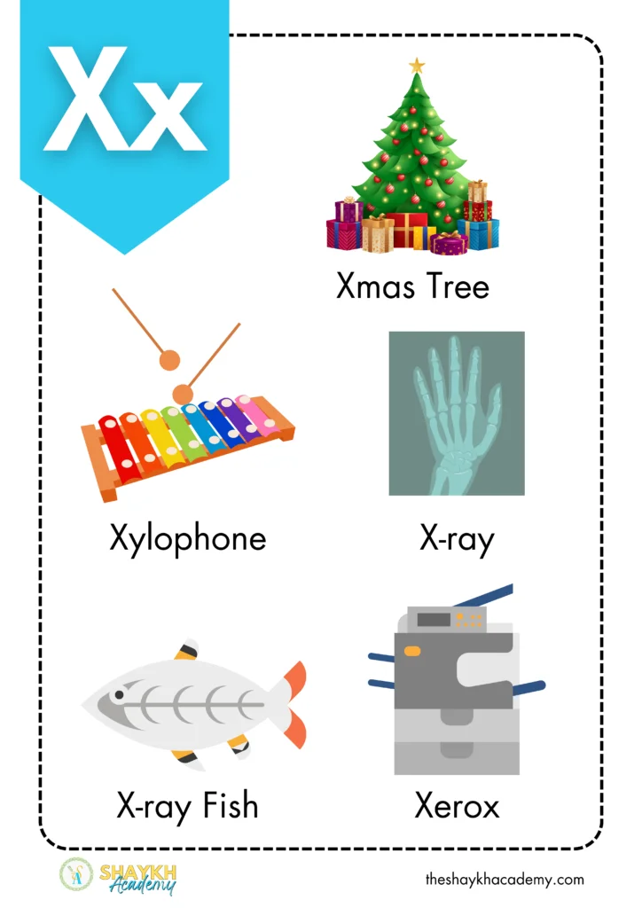 Alphabet X