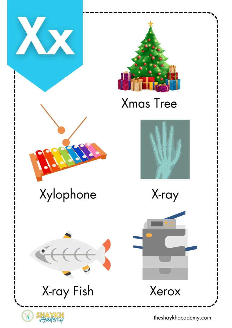 Alphabet X