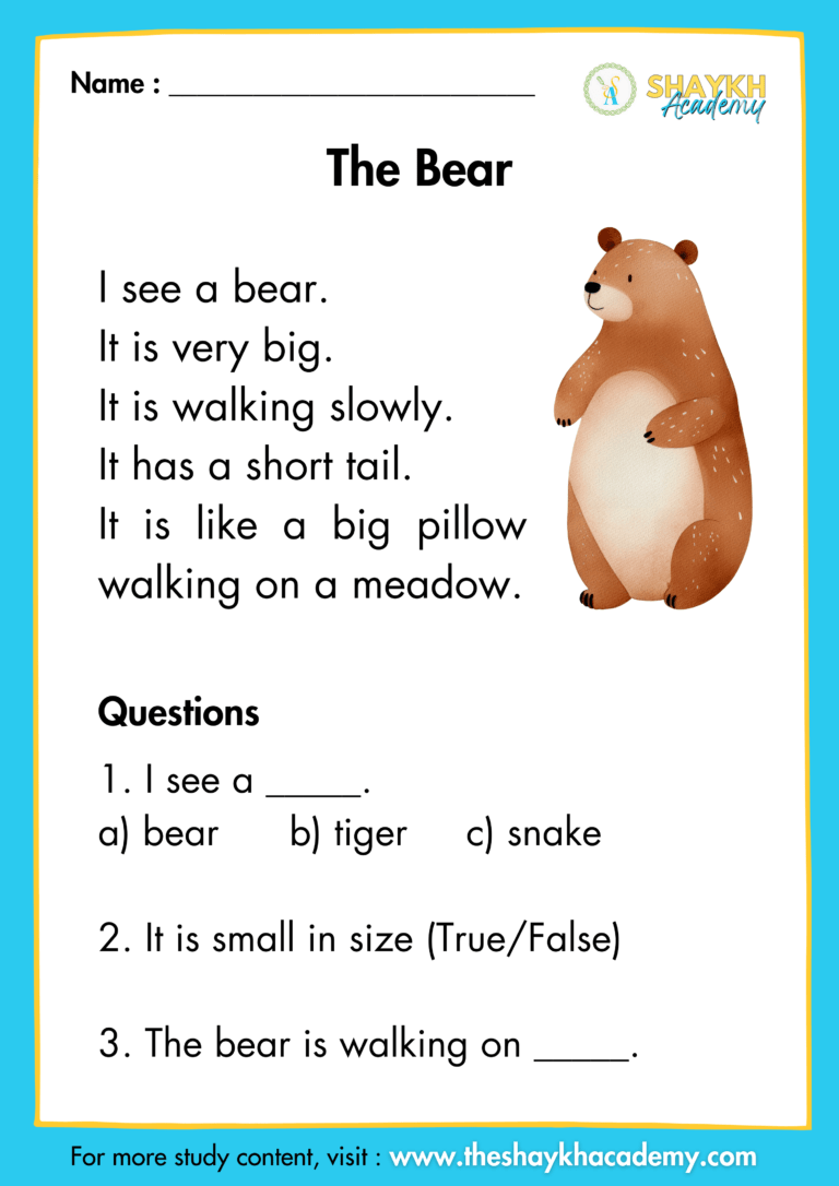 The Bear