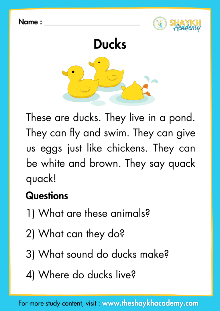 Ducks