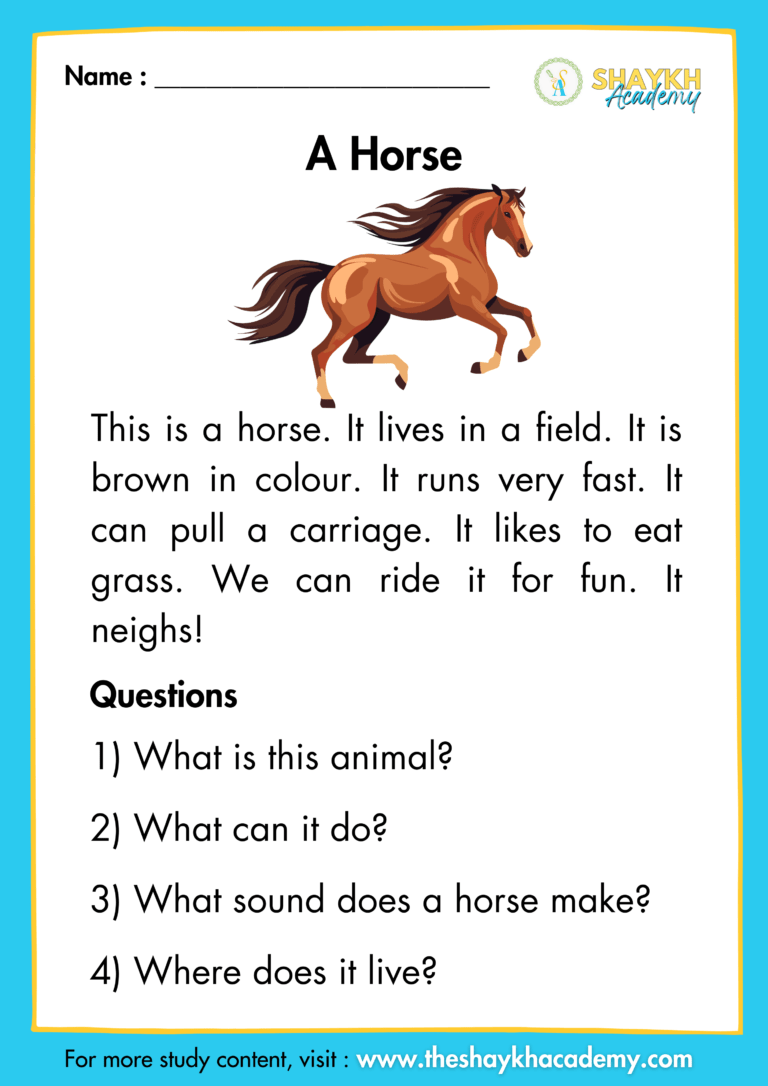 A Horse