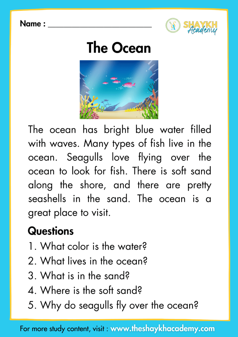 The Ocean