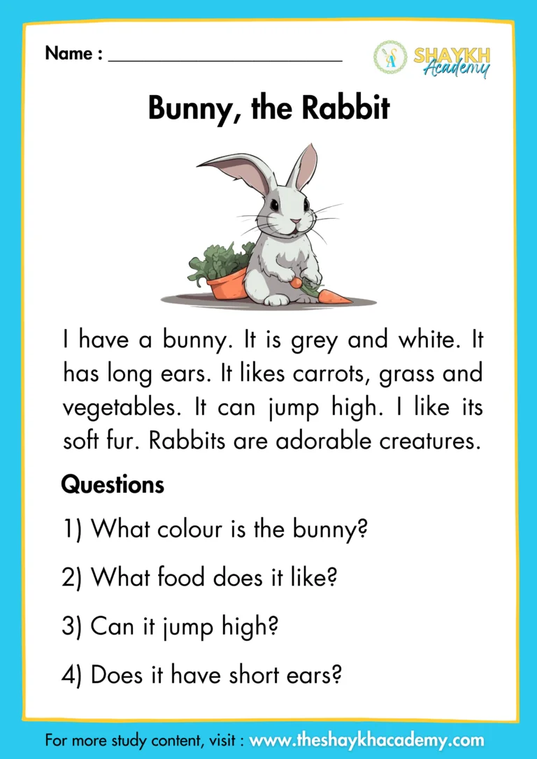 Bunny the Rabbit