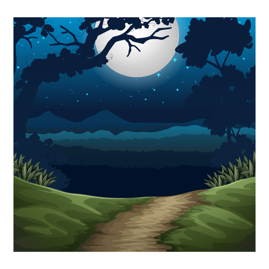 Night Time