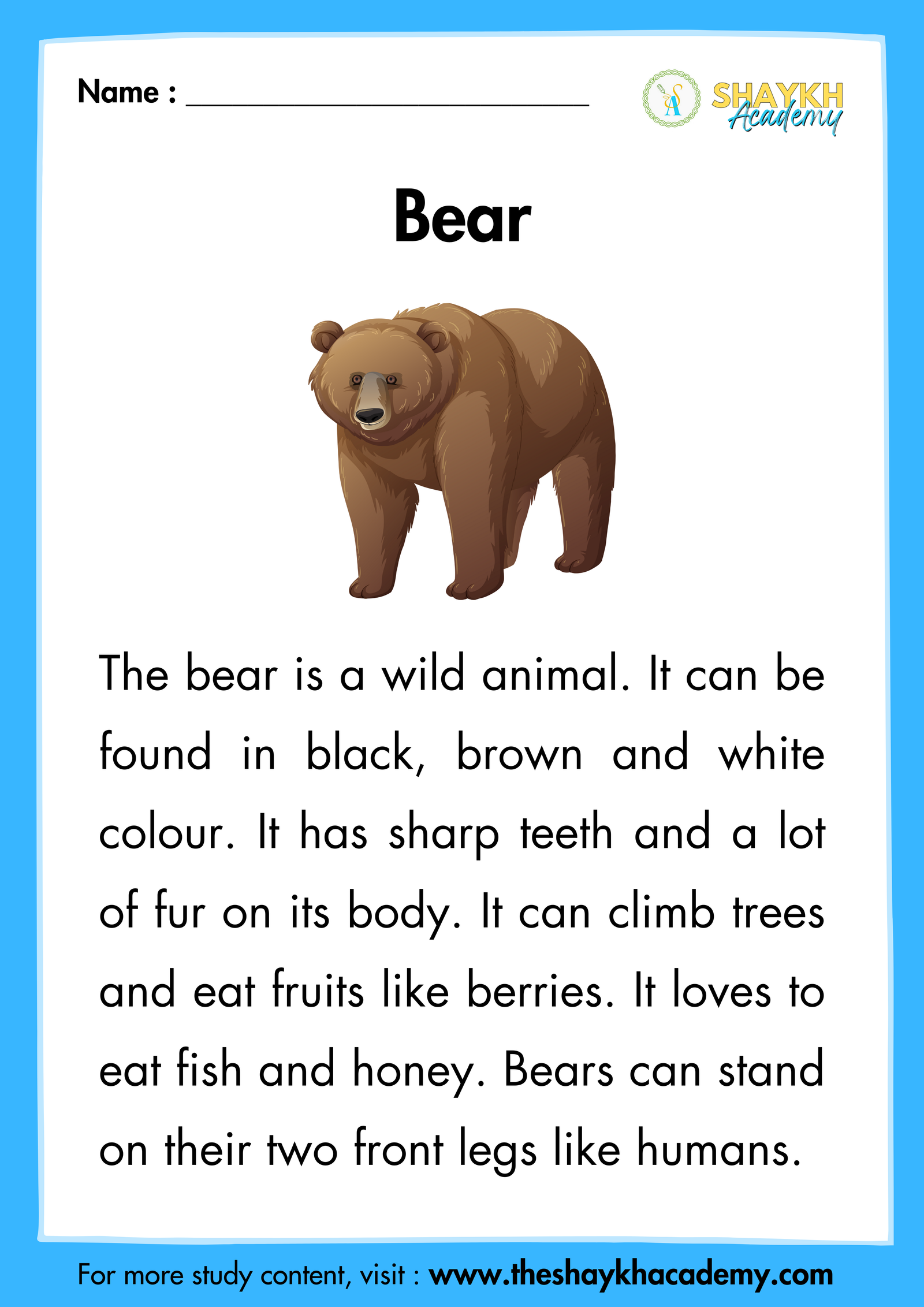 Bear