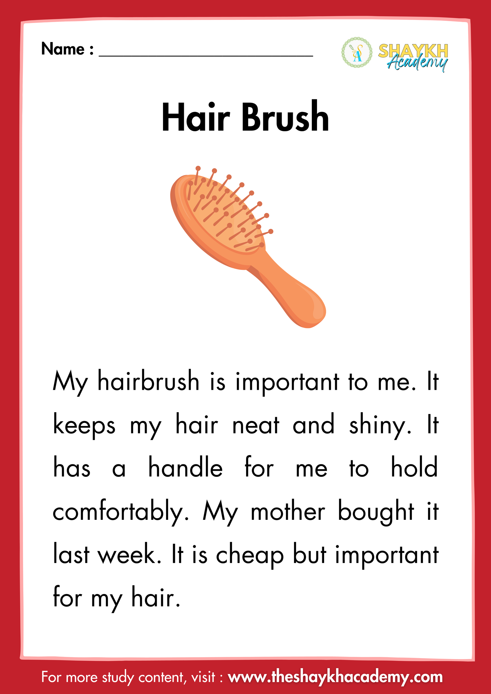 Hair Brush
