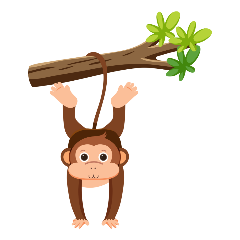 Monkey