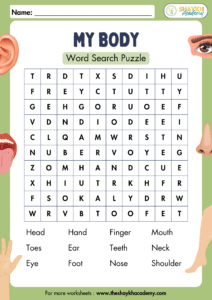My Body - Easy Level Word Search Puzzles