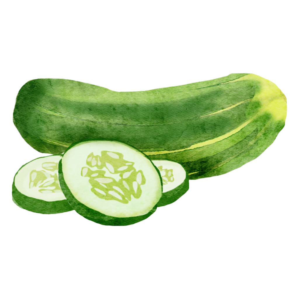 Cucumber