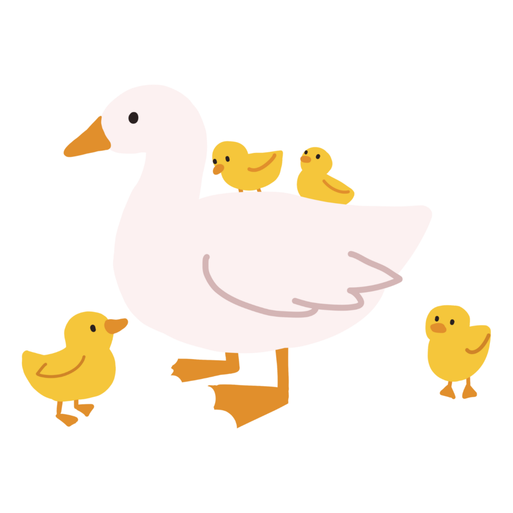 Duck