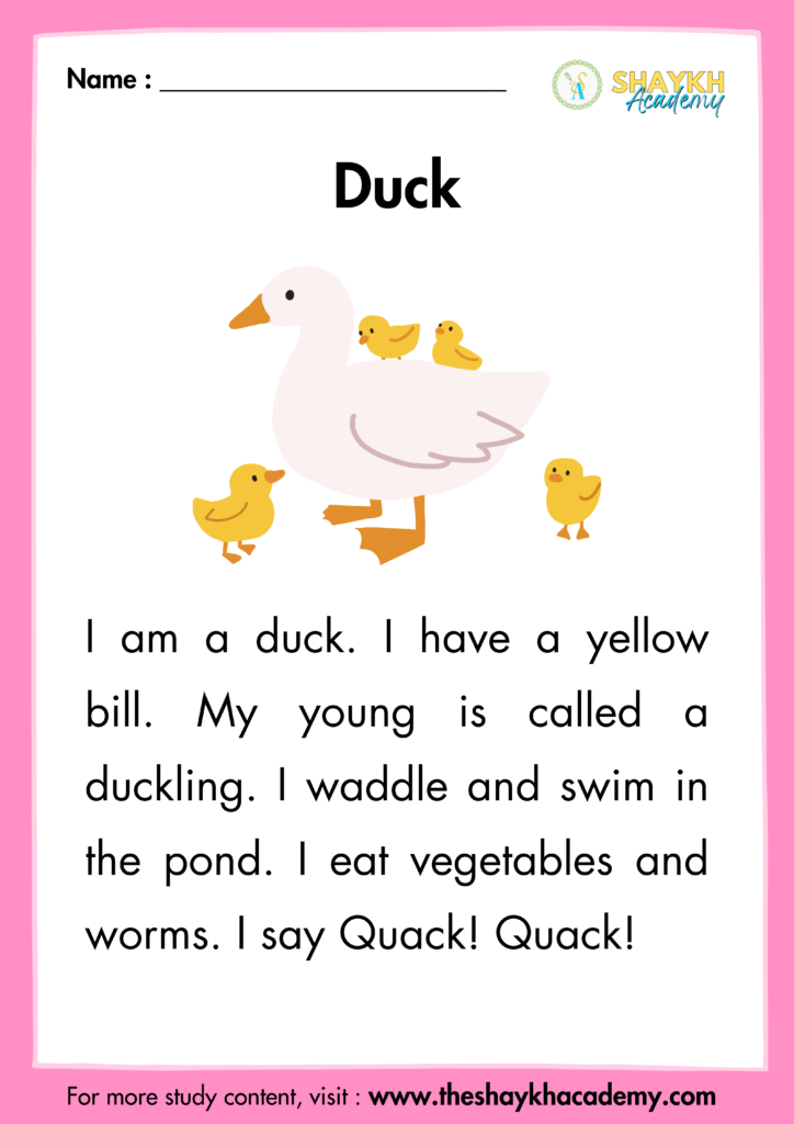 Duck
