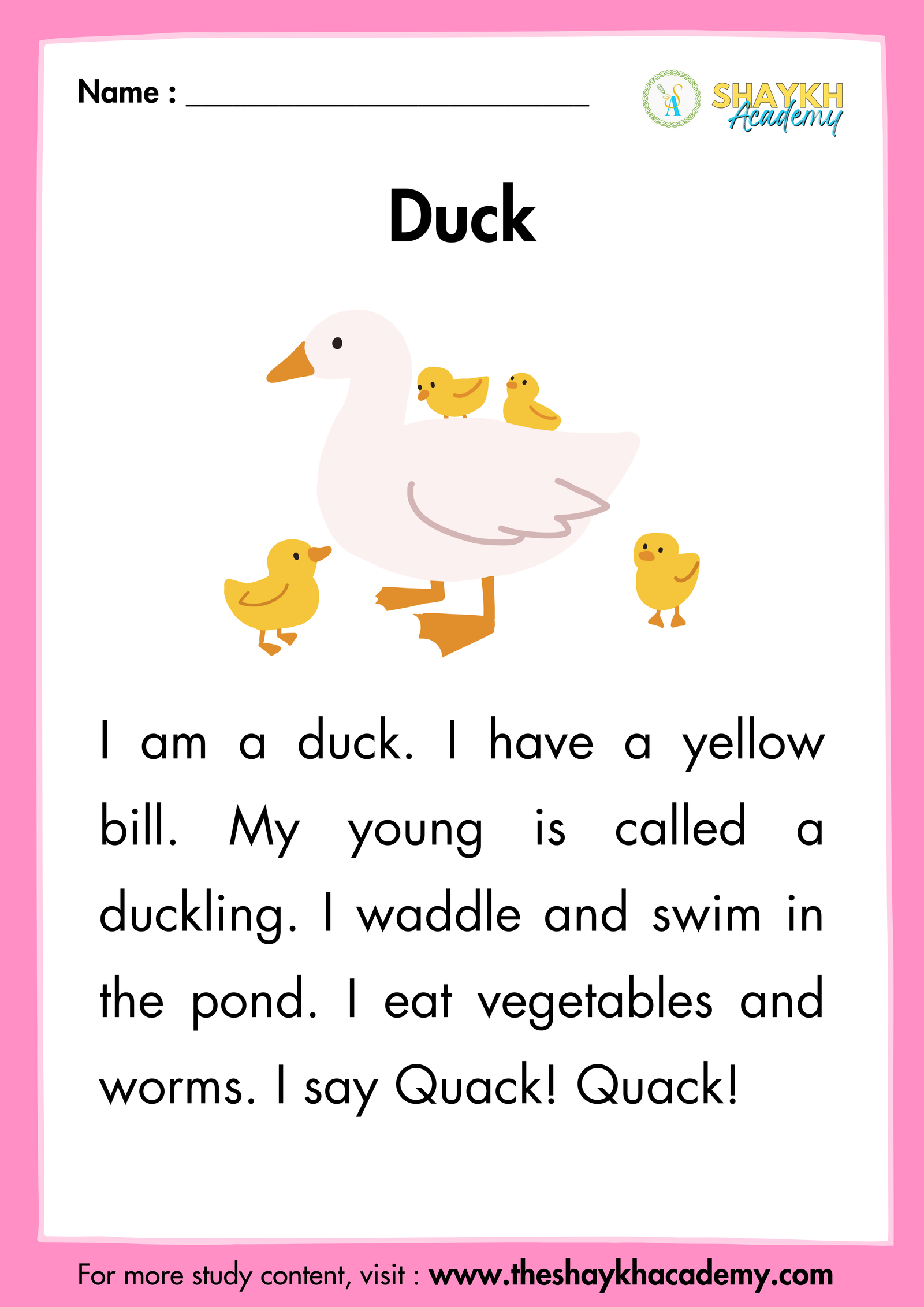 Duck