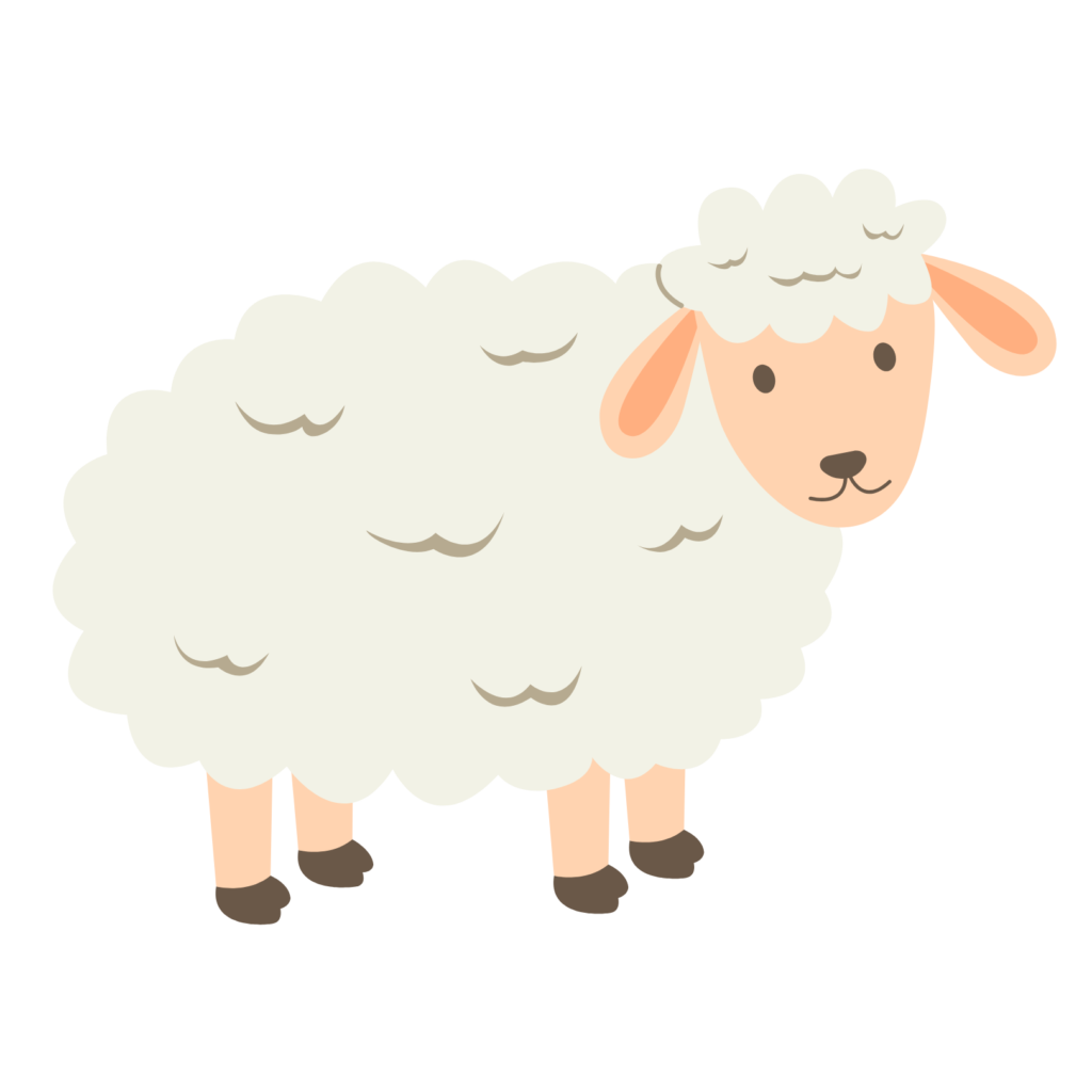 Sheep