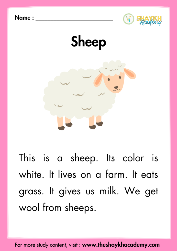 Sheep