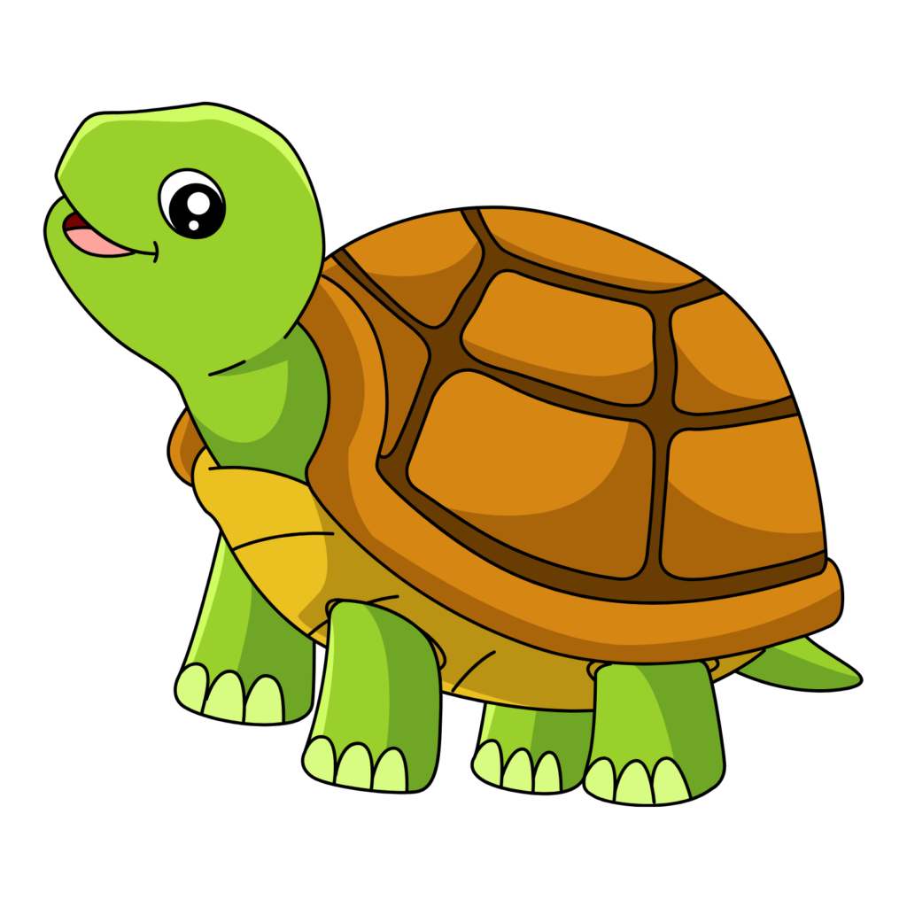Tortoise
