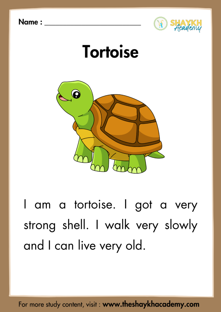 Tortoise - Beginner Level - Reading Passages