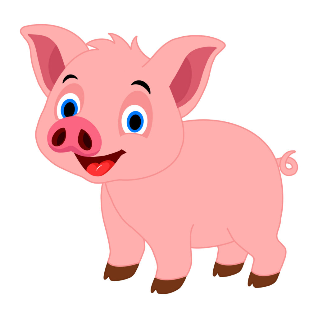 Pig