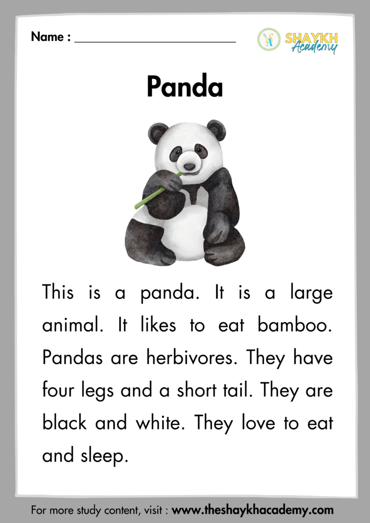 Panda