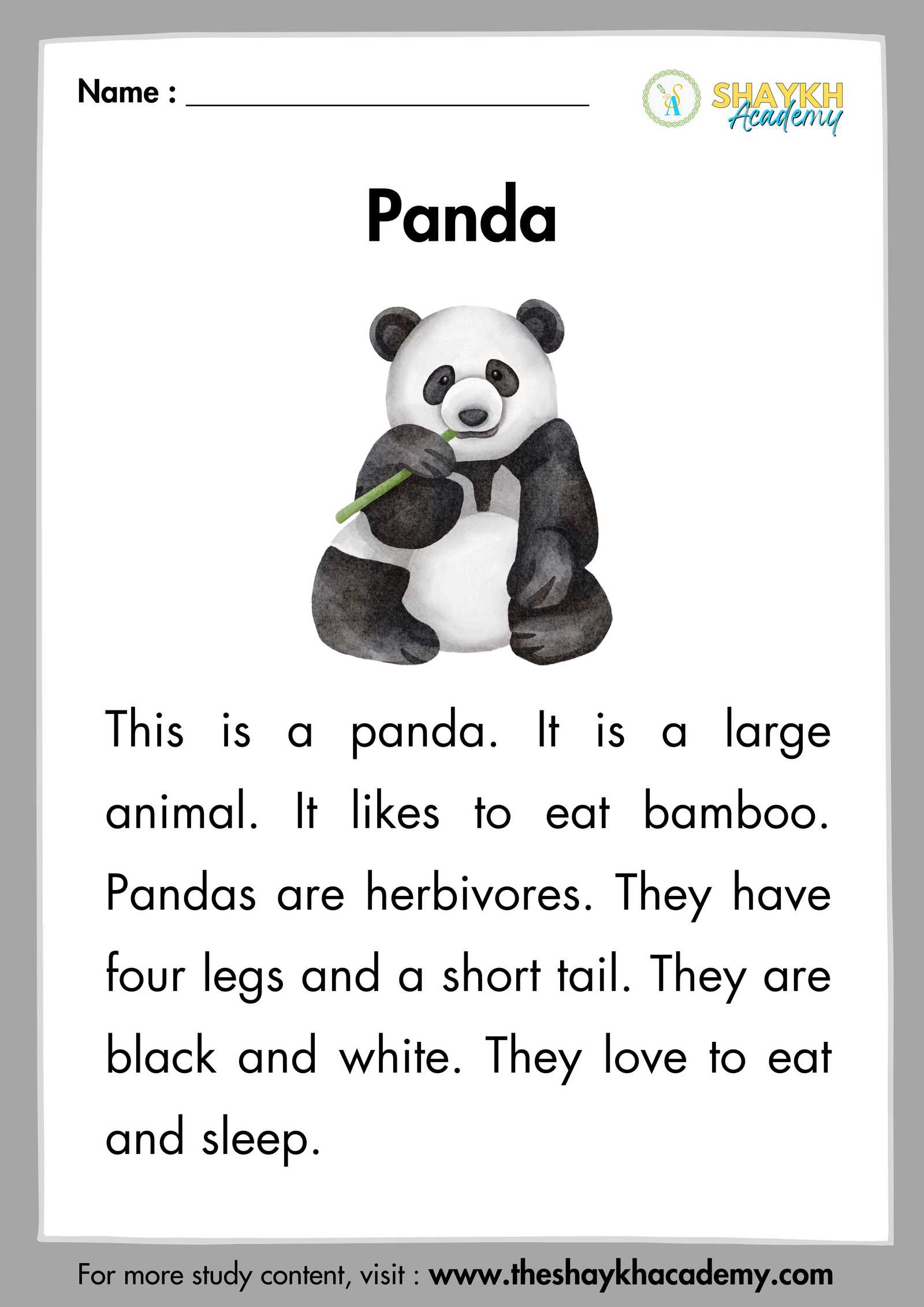 Panda