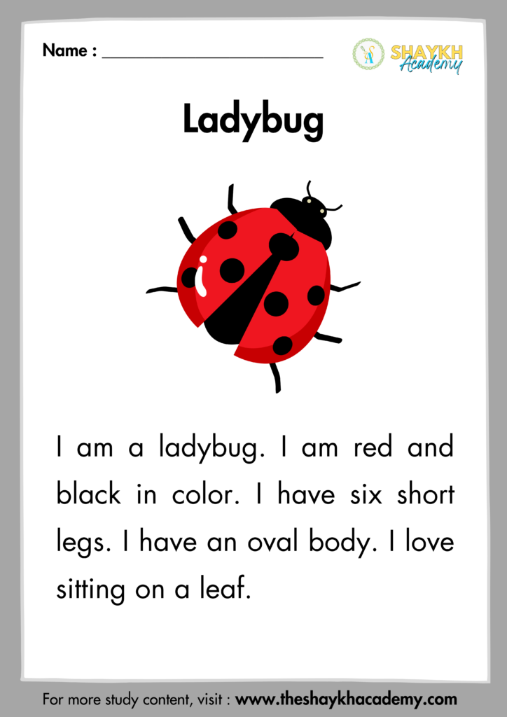 Ladybug