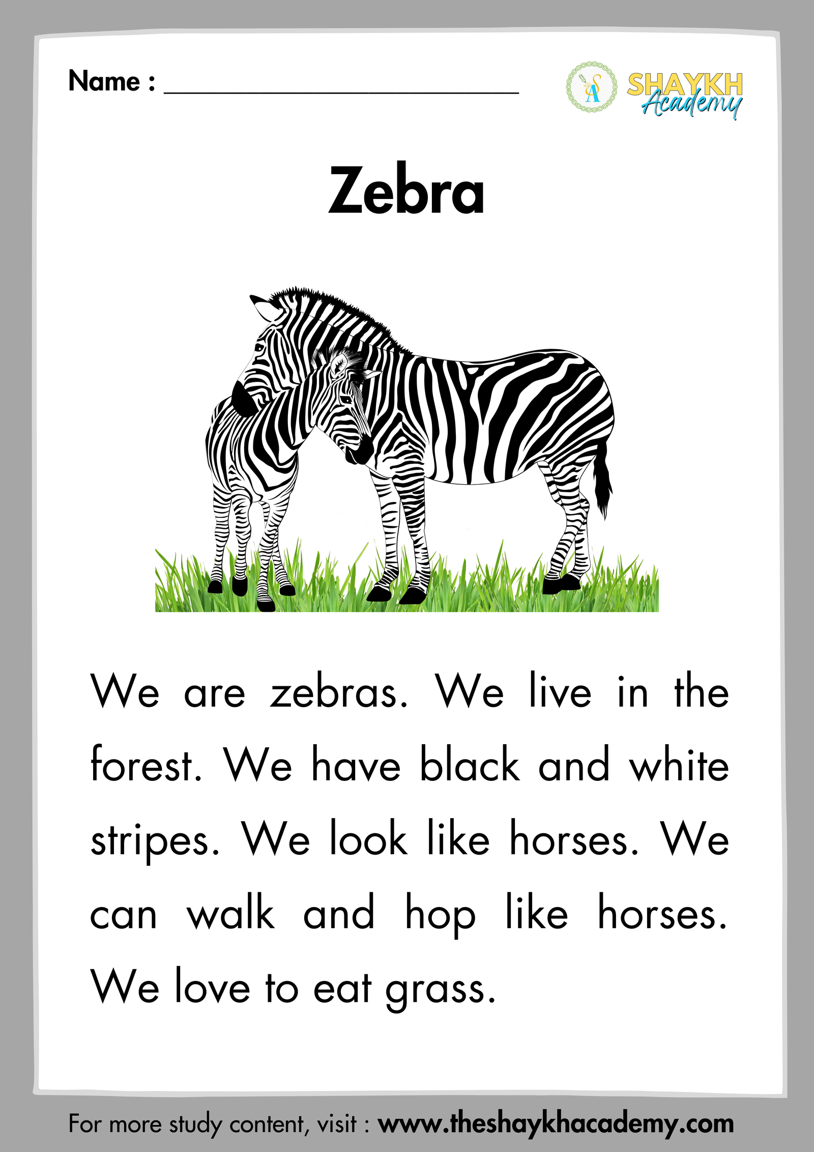 Zebra