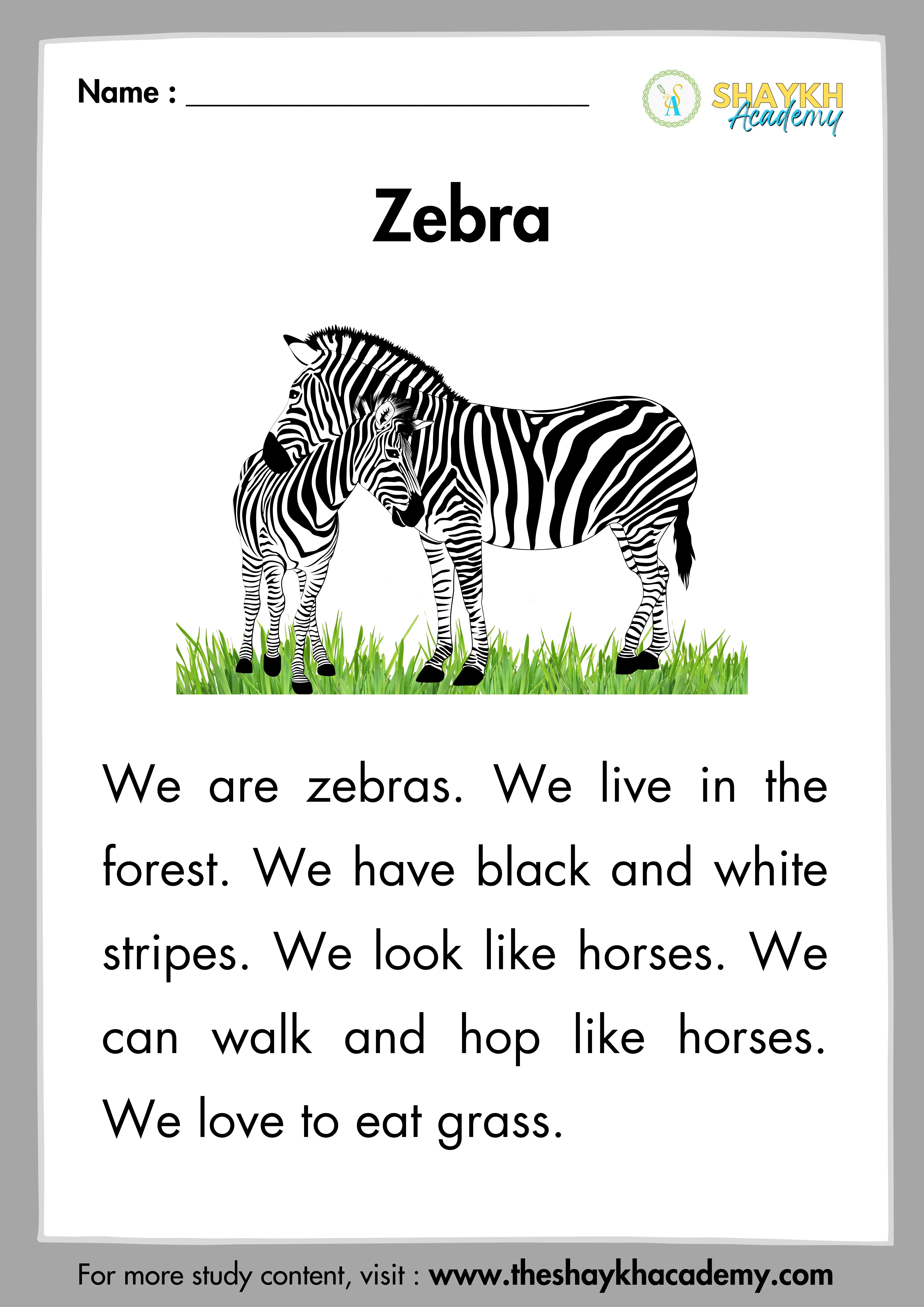 Zebra