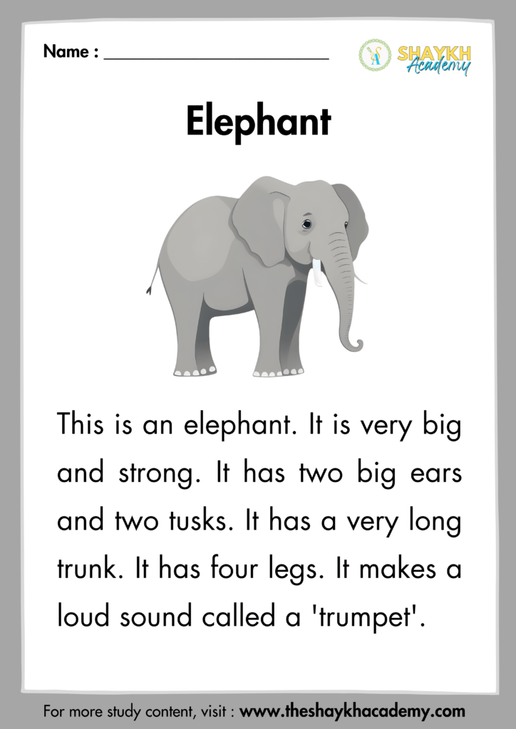 Elephant