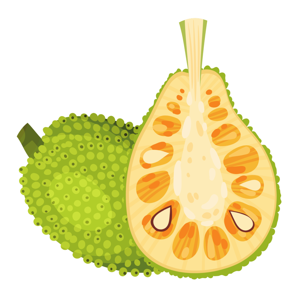 Jackfruit