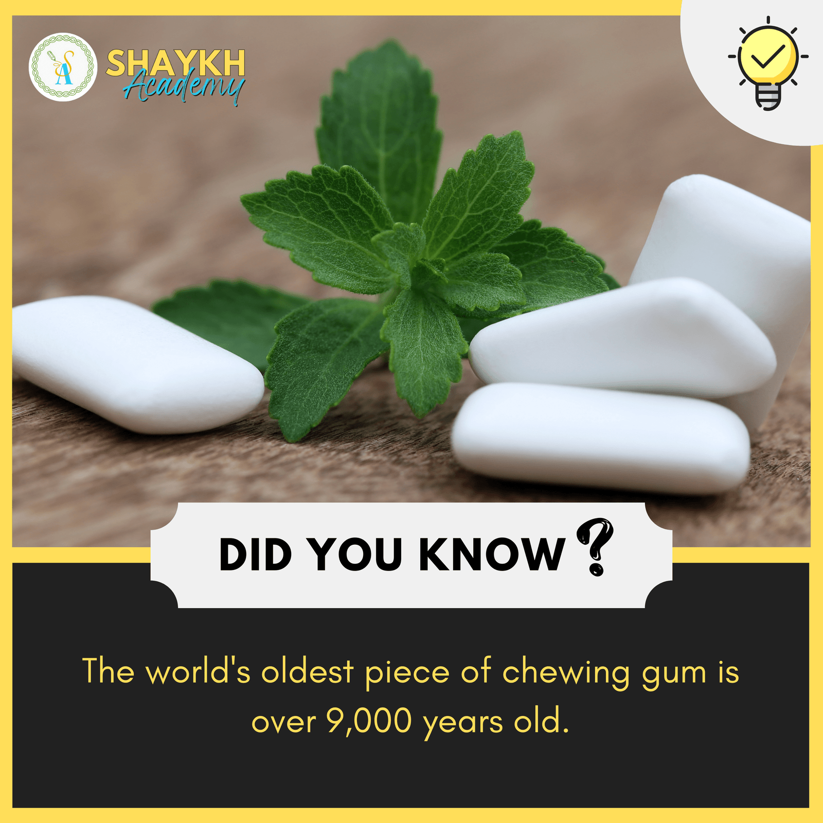The world's oldest piece of chewing gum is over 9,000 years old