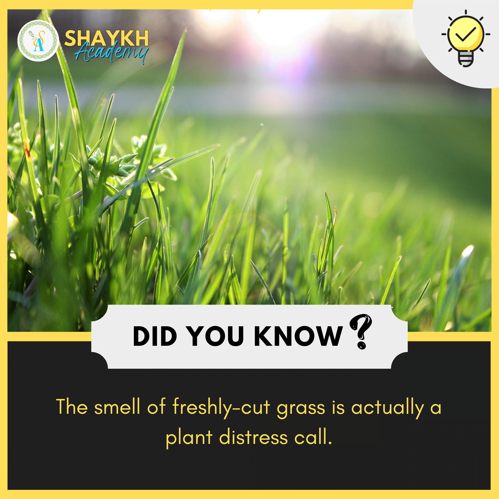 The smell of freshly-cut grass is actually a plant distress call
