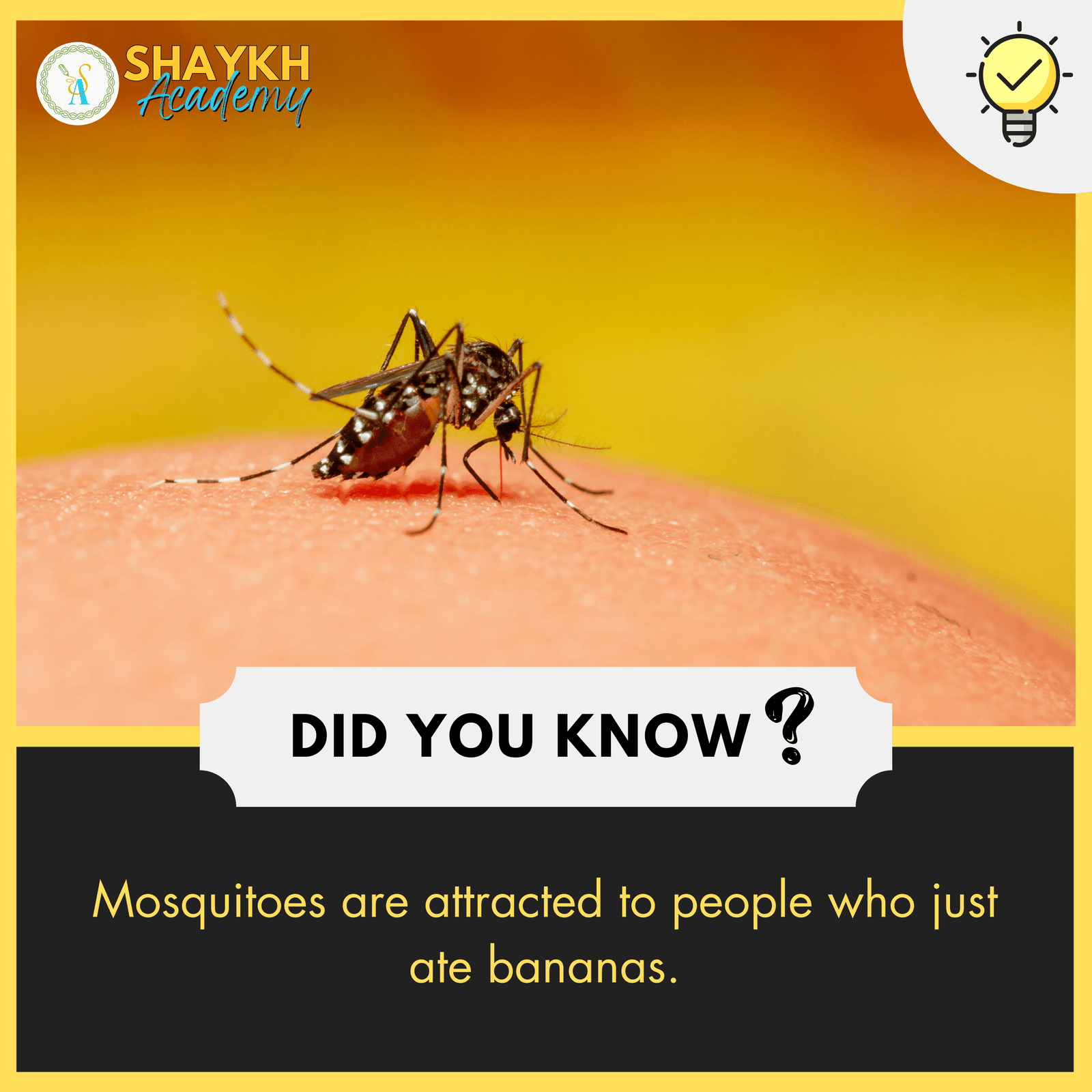 Mosquitoes are attracted to people who just ate bananas.
