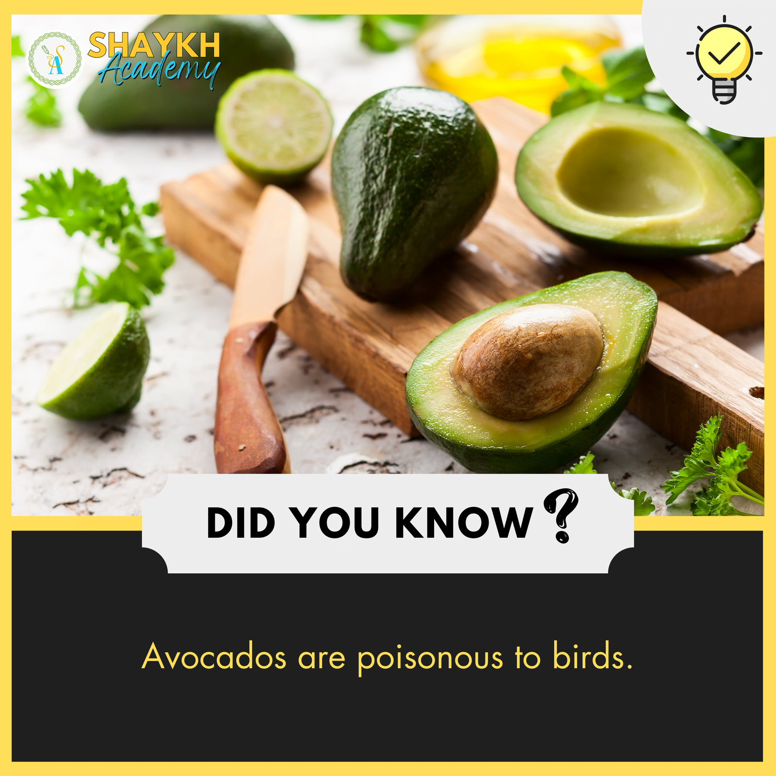 Avocados are poisonous to birds.