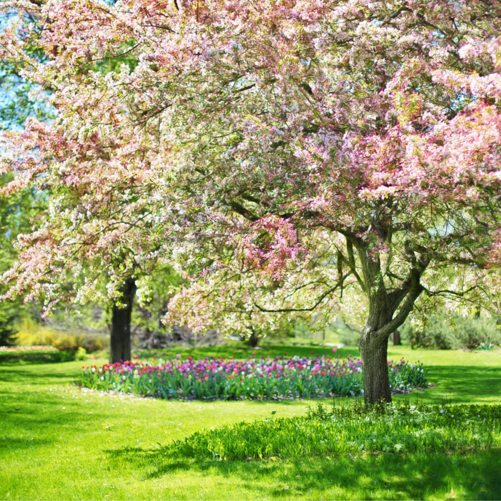 22 20240722 124202 0001 Spring