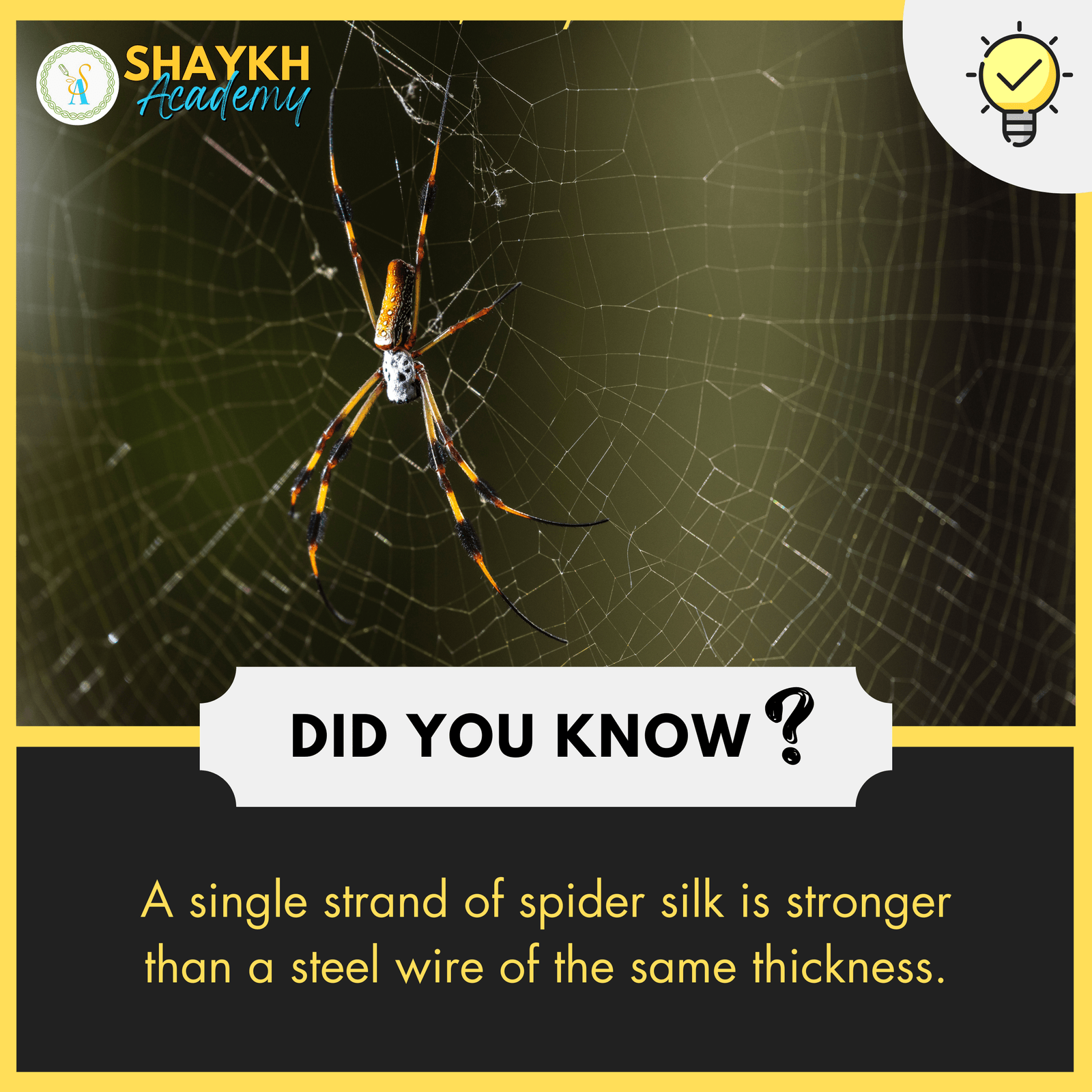 A single strand of spider silk is stronger than a steel wire of the same thickness.