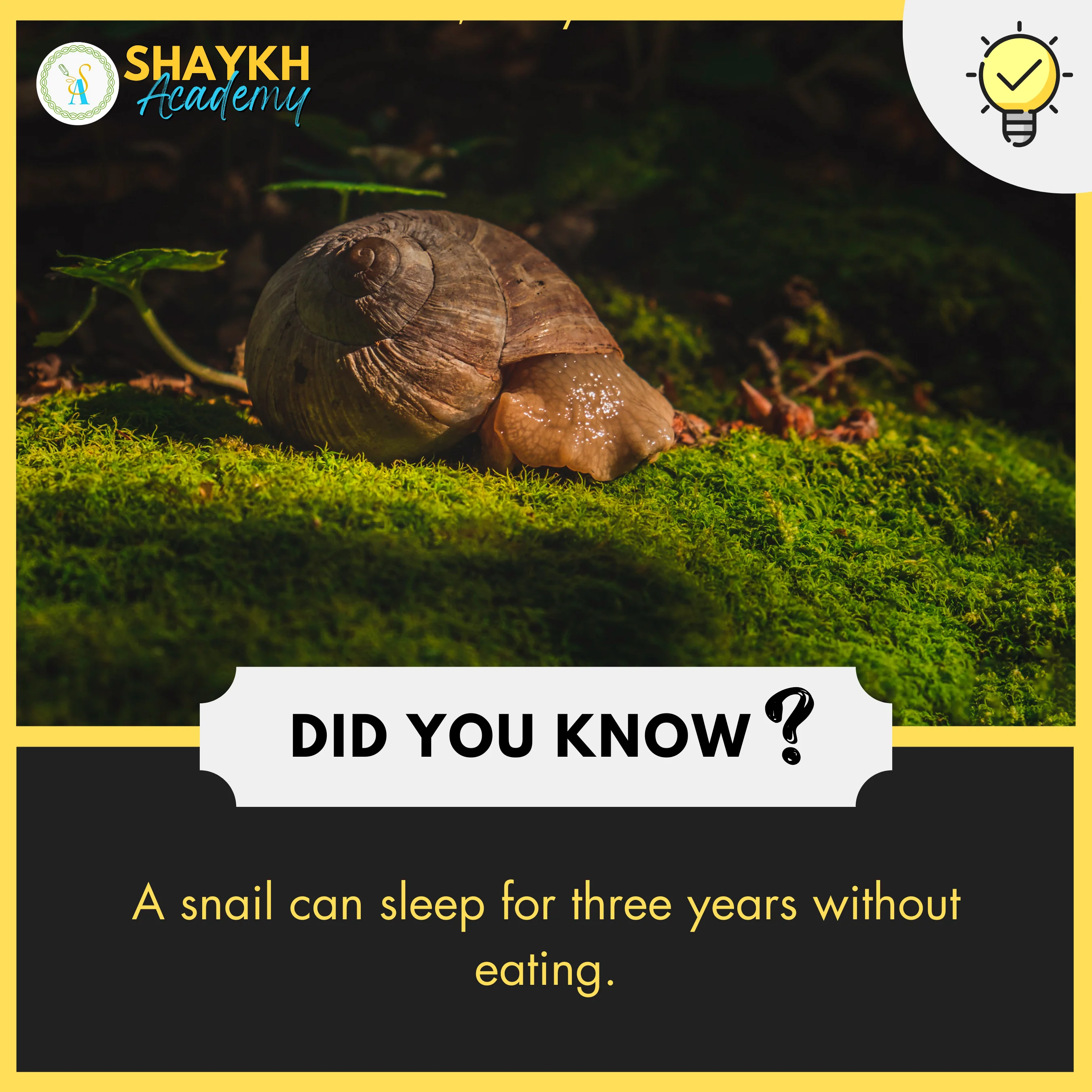 A snail can sleep for three years without eating.