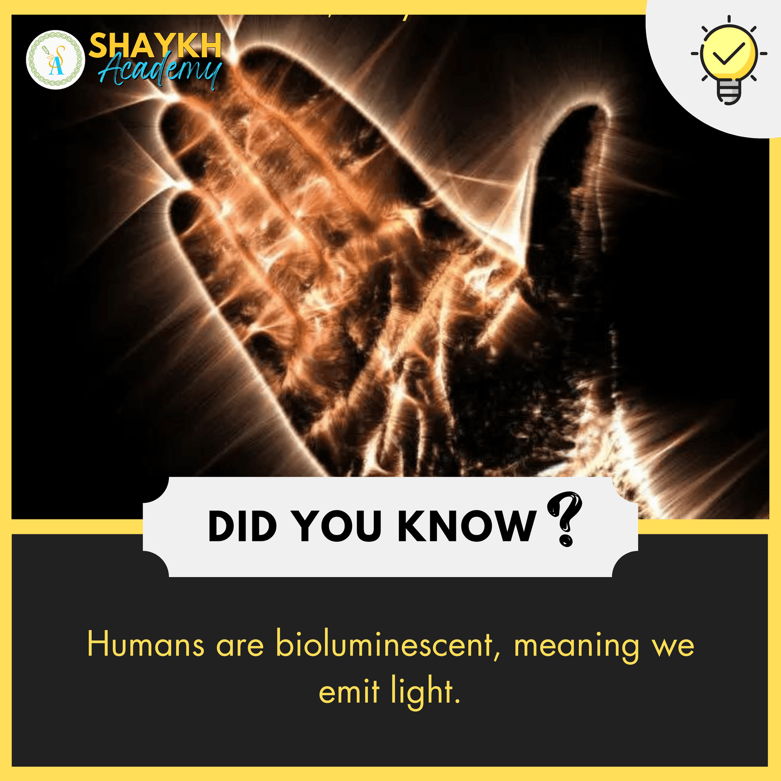 Humans are bioluminescent, meaning we emit light.