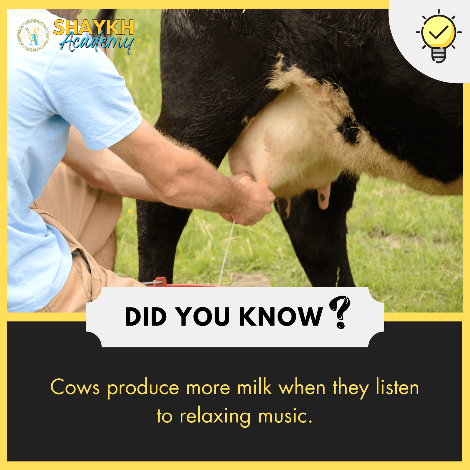 Cows produce more milk when they listen to relaxing music.