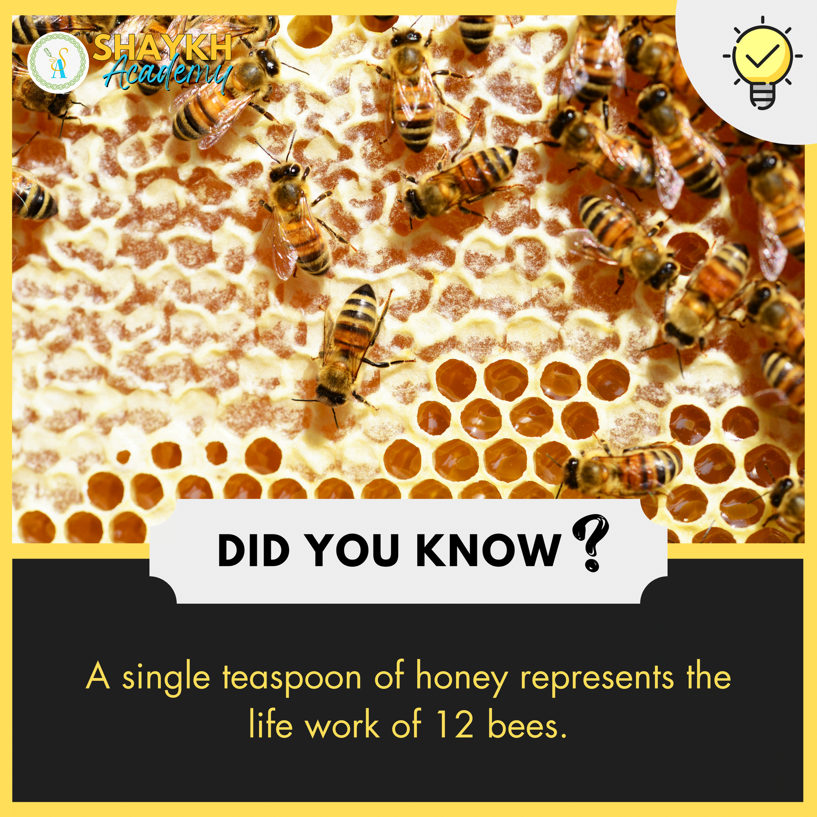 A single teaspoon of honey represents the life work of 12 bees.