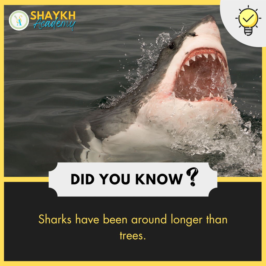Did you Know? Sharks have been around longer than trees