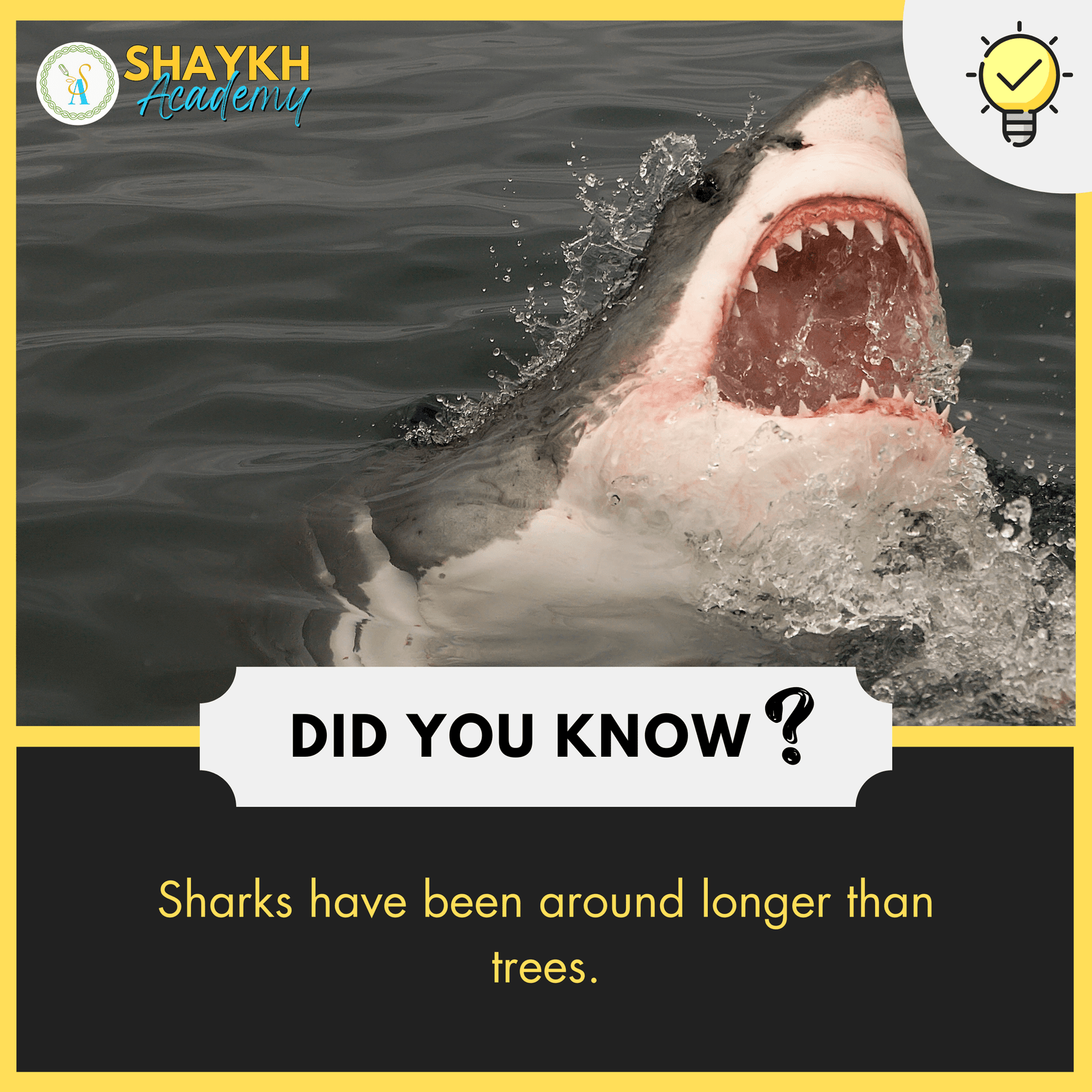 Sharks have been around longer than trees.