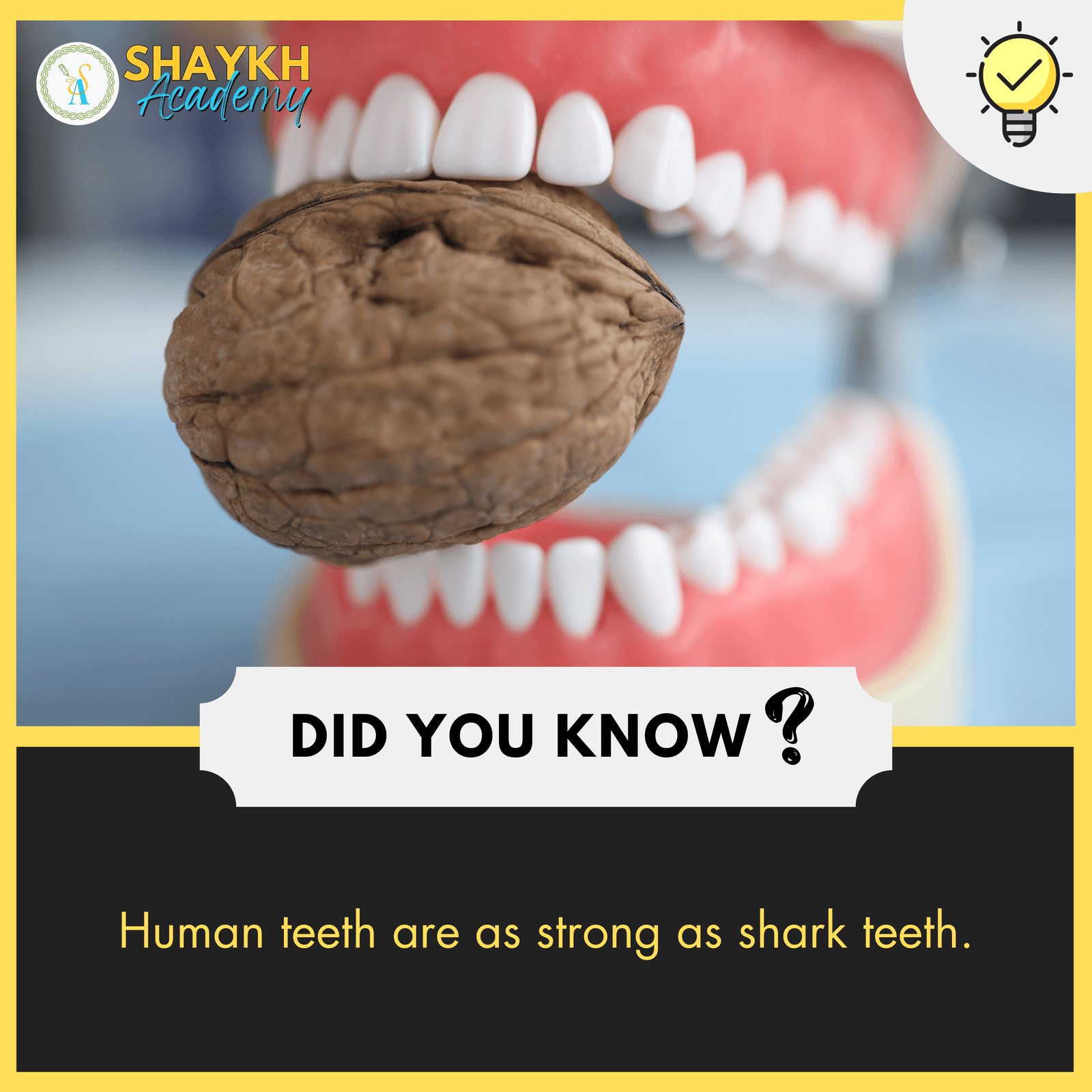 Human teeth are as strong as shark teeth.