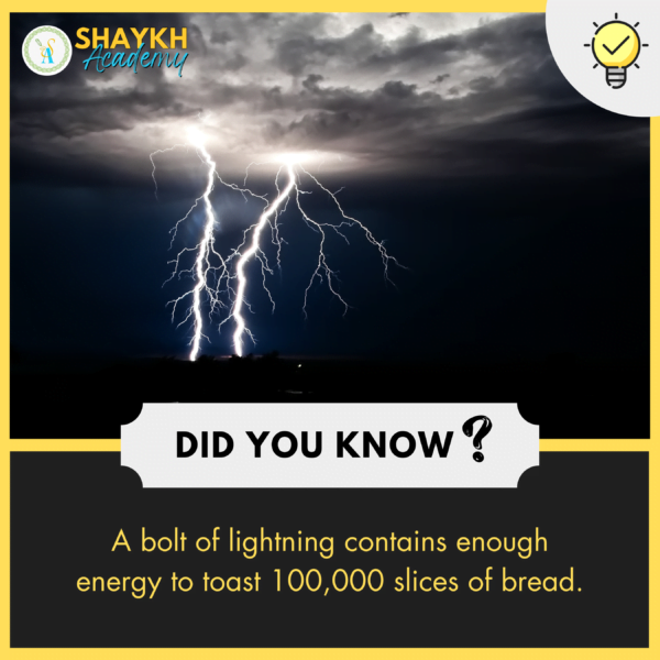 Quick answer: toaster energy use in the United States Quick answer: toaster energy use in the United States