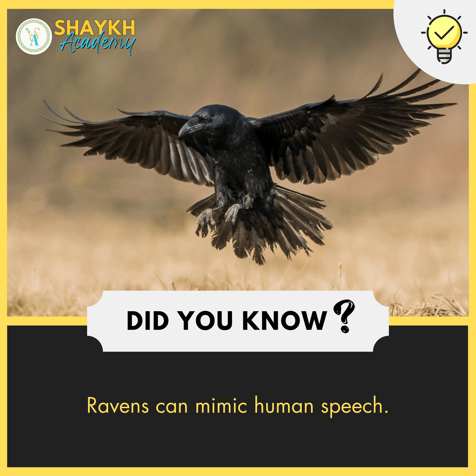 Ravens can mimic human speech.