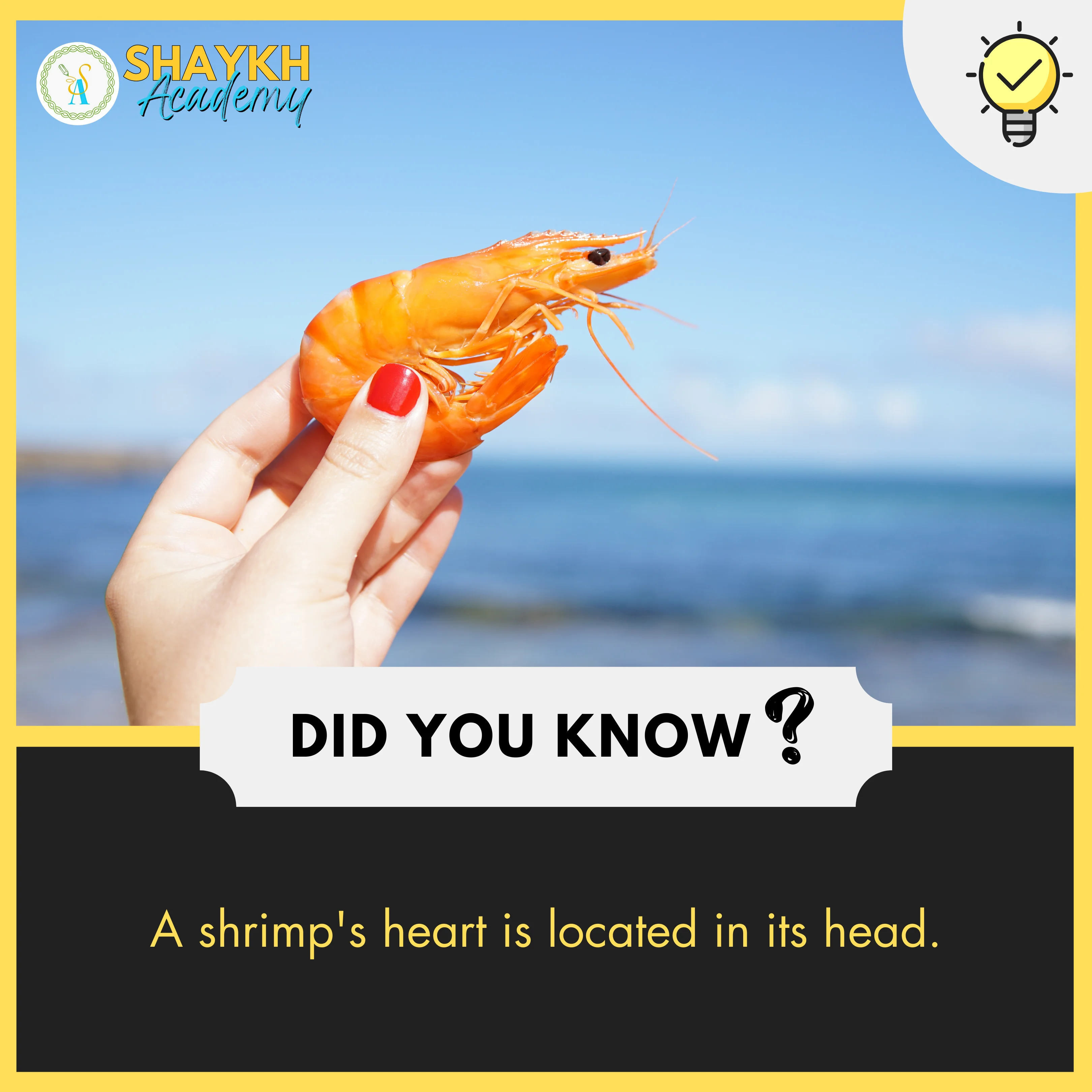 A shrimp's heart is located in its head.