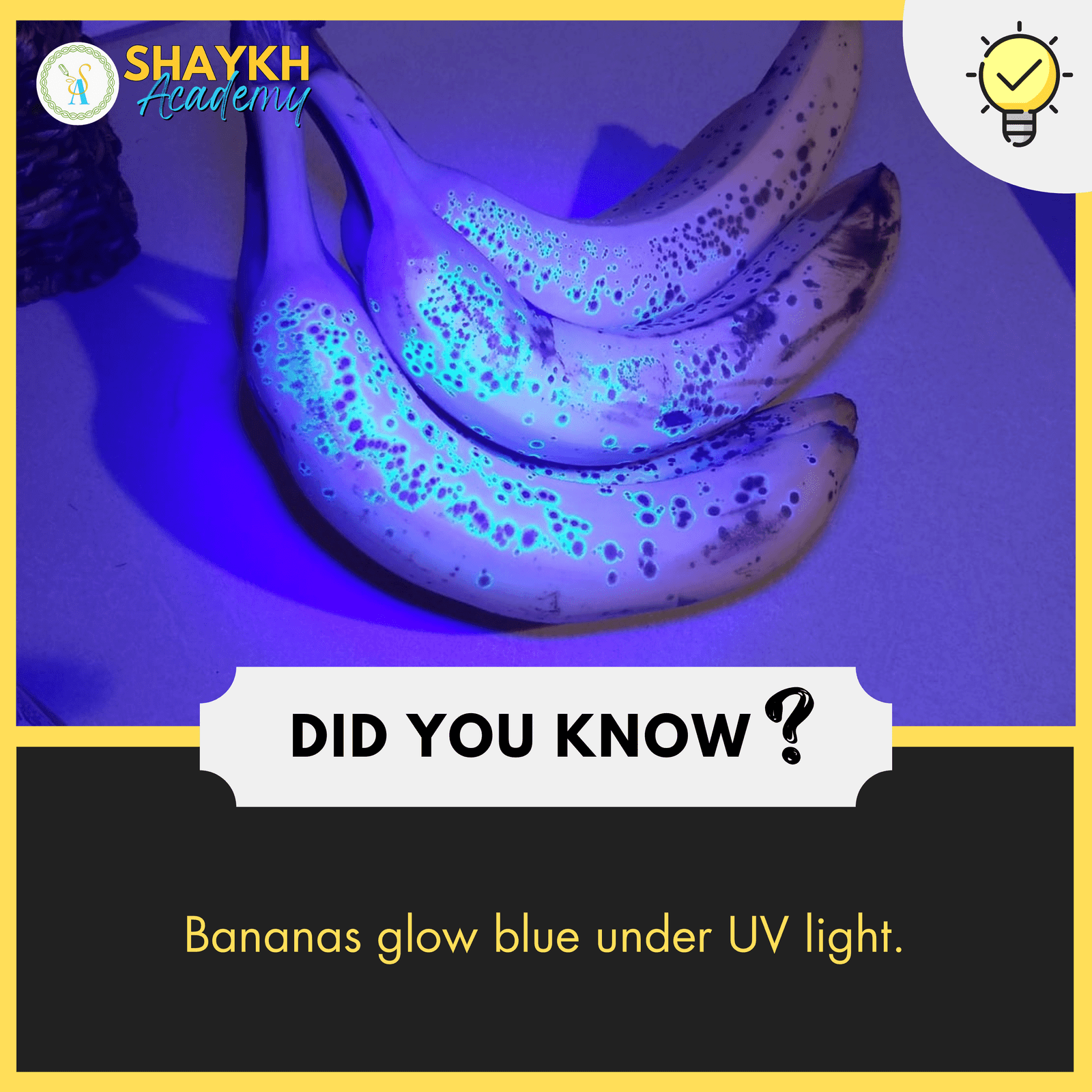 Bananas glow blue under UV light.