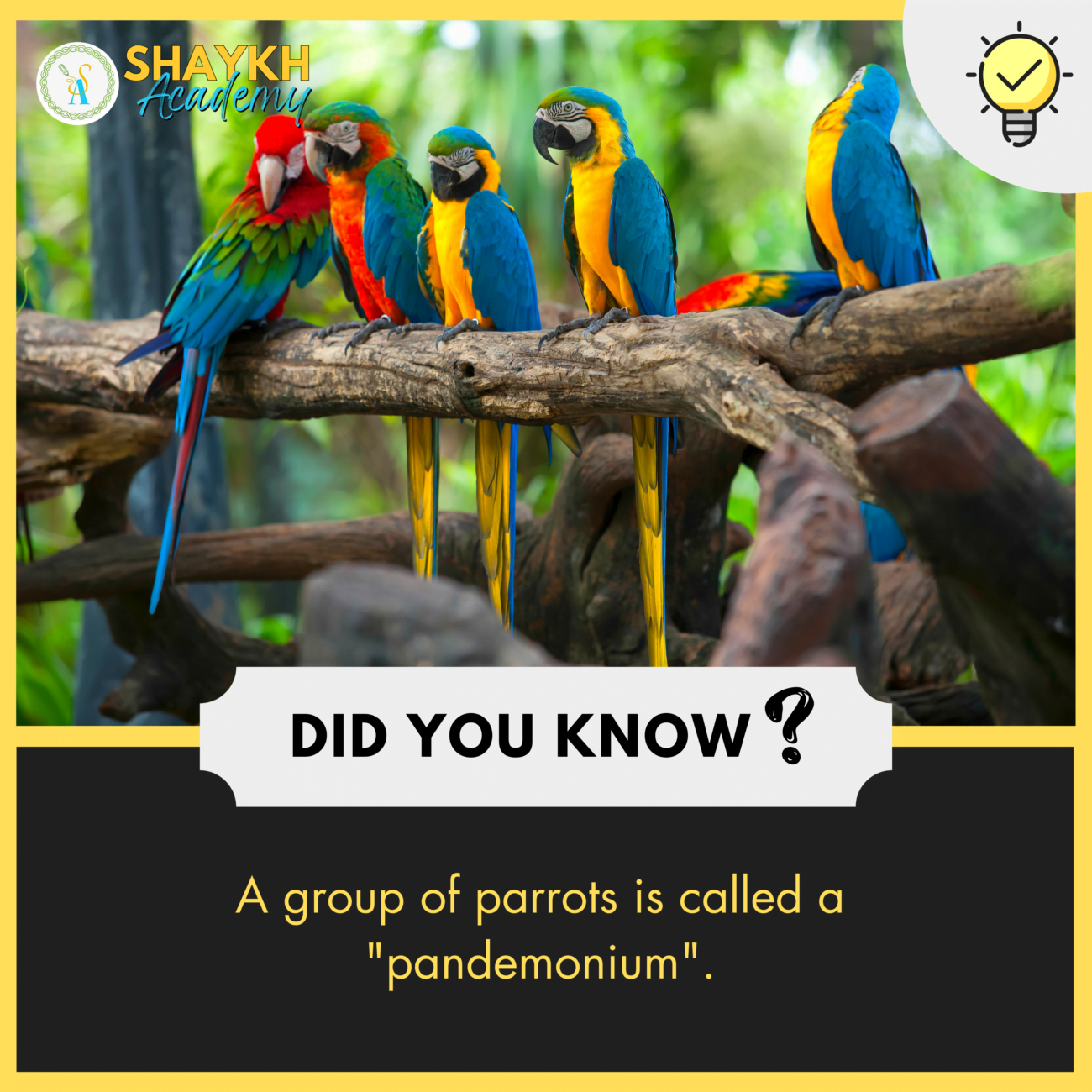 Did you Know? A group of parrots is called a 