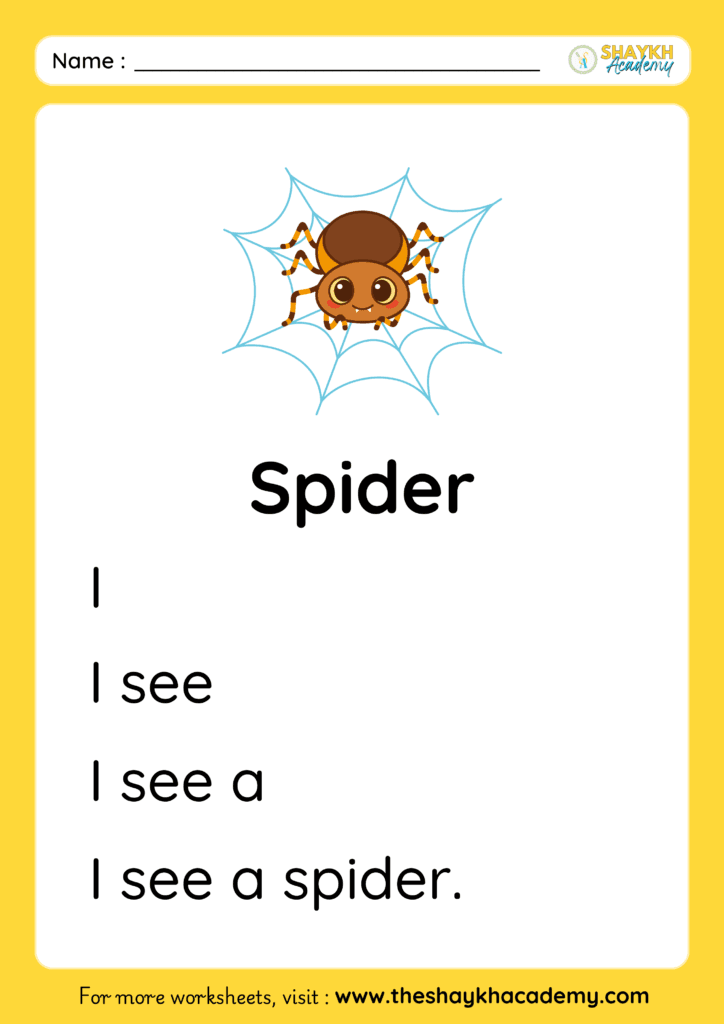 Spider
