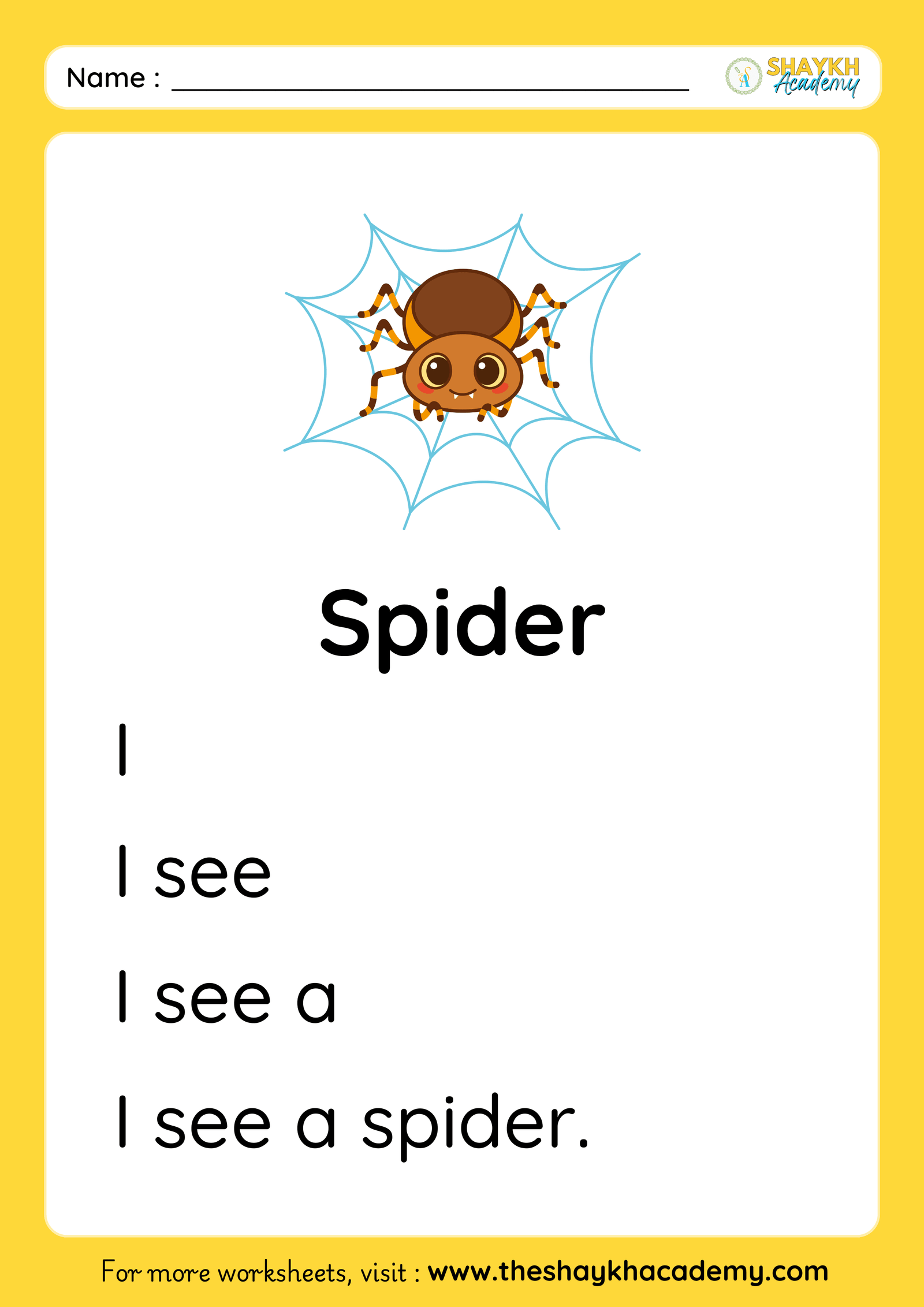 Spider