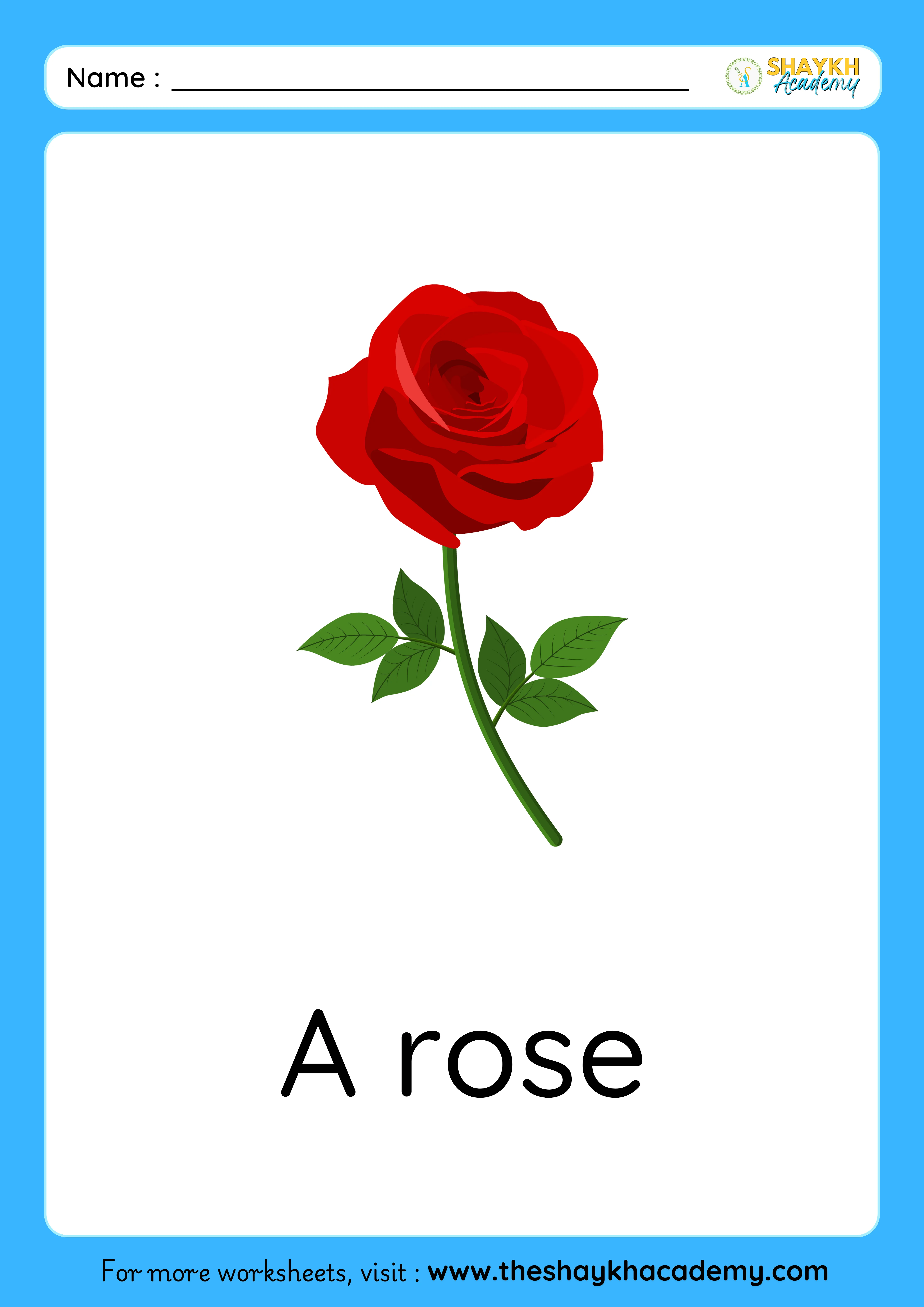 rose