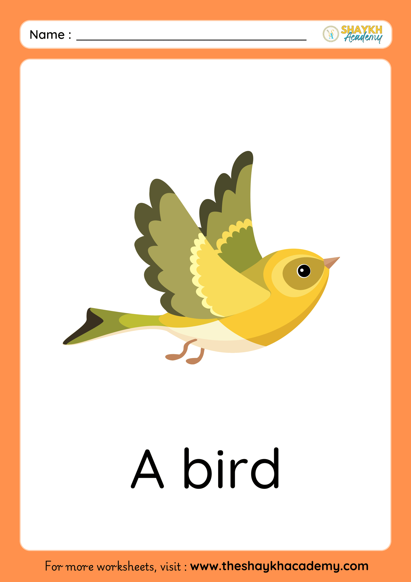 bird